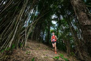 BIB: 
                            <button type="button" onclick="openModal(19395218)" class="btn btn-primary btn-sm float-right btn-popup" data-toggle="modal" data-target=".modal-high-quality">
                        <i class="fas fa-shopping-cart"></i> Add to Cart
                    </button>
                                            <button type="button" onclick="isThisMe(19395218, true)" class="btn btn-success btn-sm float-right btn-popup btn-isme hidden" data-toggle="tooltip" data-placement="bottom" title="นี่คือรูปของคุณใช่ไหม คลิกที่นี่เพื่อเอาเข้าอัลบั้ม">
                        <i class="fas fa-plus"></i> Add to album
                    </button>
                    <button type="button" onclick="isThisMe(19395218, false)" class="btn btn-warning btn-sm float-right btn-popup btn-isnotme hidden">
                        <i class="fas fa-ban"></i> Remove from album
                    </button>